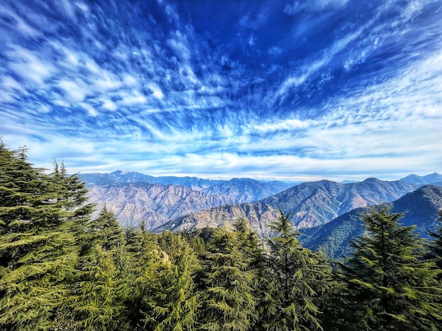 搜狗输入法下载俄文语言包全流程教学2023最新版图解 一